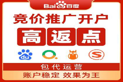 百度SEO推广公司案例剖析：助力企业提升排名